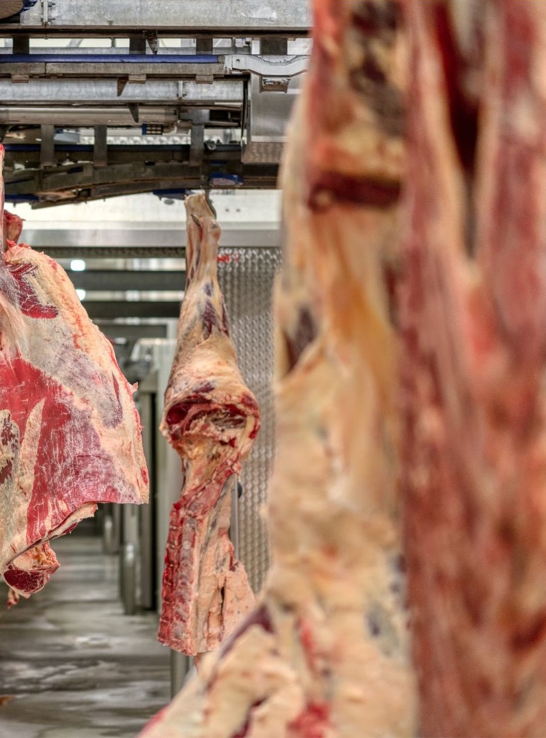viande-fraiche-1ere_Transformation