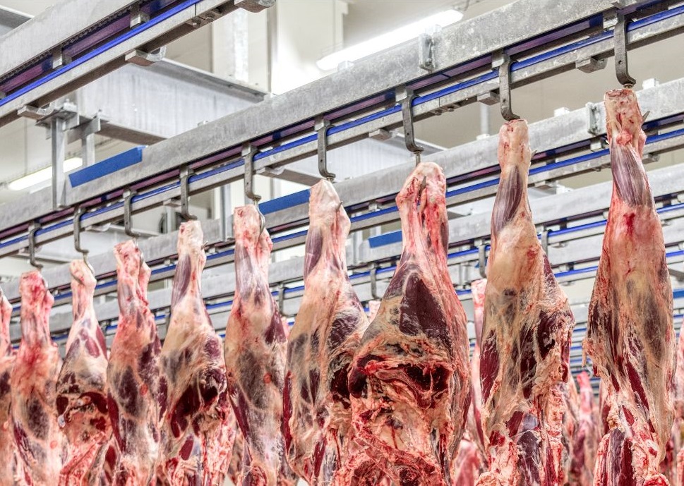 viande_fraiche_1ere_Transformation